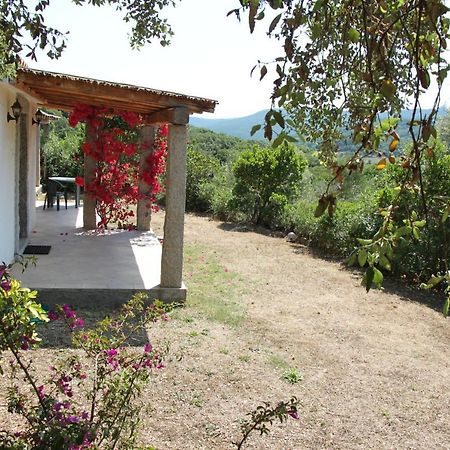 Villa La Puntaccina Aglientu Exterior foto