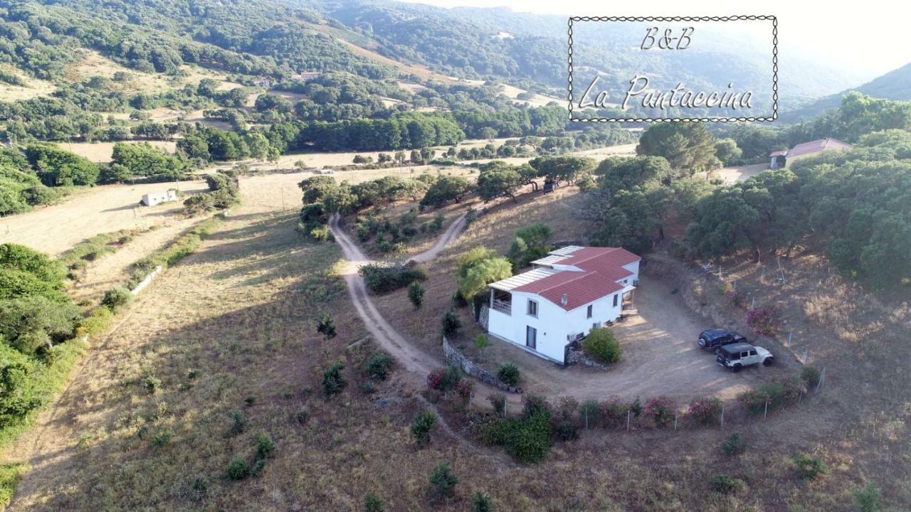 Villa La Puntaccina Aglientu Exterior foto